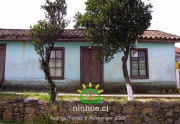 Comuna de Ninhue 2009