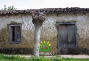 Comuna de Ninhue 2009