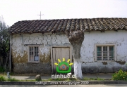 Comuna de Ninhue 2009