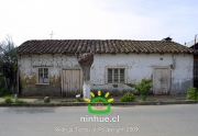 Comuna de Ninhue 2009