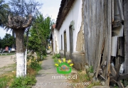 Comuna de Ninhue 2009