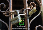 Comuna de Ninhue 2009