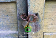 Comuna de Ninhue 2009