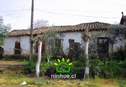 Comuna de Ninhue 2009