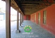 Comuna de Ninhue 2009