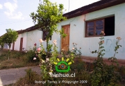 Comuna de Ninhue 2009