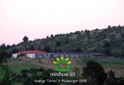 Comuna de Ninhue 2009