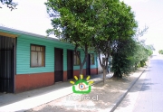 Comuna de Ninhue 2009