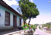 Comuna de Ninhue 2009