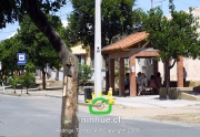 Comuna de Ninhue 2009