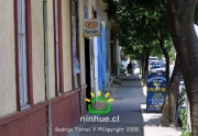Comuna de Ninhue 2009