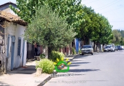 Comuna de Ninhue 2009
