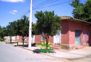 Comuna de Ninhue 2009