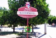 Comuna de Ninhue 2009