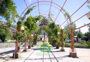 Comuna de Ninhue 2009