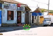 Comuna de Ninhue 2009