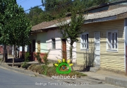 Comuna de Ninhue 2009