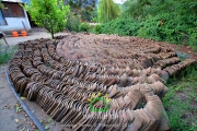 Terremoto Ninhue Pueblo