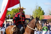 18 de Septiembre Ninhue 2014