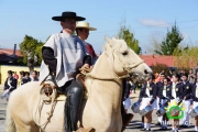 18 de Septiembre Ninhue 2014