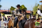 18 de Septiembre Ninhue 2014