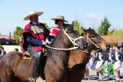 18 de Septiembre Ninhue 2014