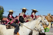 18 de Septiembre Ninhue 2014