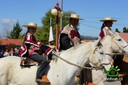 18 de Septiembre Ninhue 2014