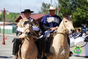 18 de Septiembre Ninhue 2014