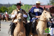 18 de Septiembre Ninhue 2014