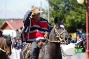 18 de Septiembre Ninhue 2014