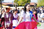 18 de Septiembre Ninhue 2014