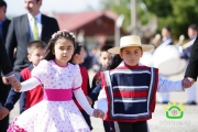 18 de Septiembre Ninhue 2014