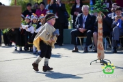 18 de Septiembre Ninhue 2014