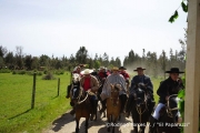 Cabalgata Comuna de San Nicolás 2014