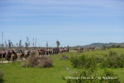 Cabalgata Comuna de San Nicolás 2014