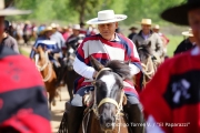 Cabalgata Comuna de San Nicolás 2014