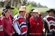 Cabalgata Comuna de San Nicolás 2014