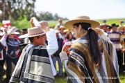 Cabalgata Comuna de San Nicolás 2014