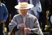 Cabalgata Comuna de San Nicolás 2014