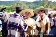 Cabalgata Comuna de San Nicolás 2014