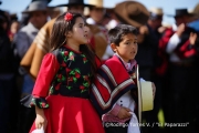 Cabalgata Comuna de San Nicolás 2014