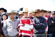 Cabalgata Comuna de San Nicolás 2014