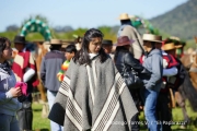 Cabalgata Comuna de San Nicolás 2014