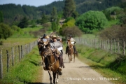 Cabalgata Comuna de San Nicolás 2014
