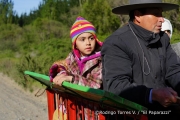 Cabalgata Comuna de San Nicolás 2014