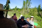 Cabalgata Comuna de San Nicolás 2014