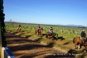 Cabalgata Comuna de San Nicolás 2014