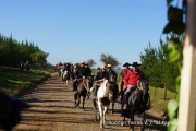 Cabalgata Comuna de San Nicolás 2014