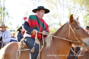 Cabalgata Comuna de San Nicolás 2014